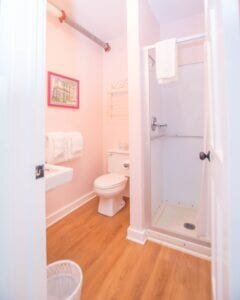 Bathroom and stand up shower